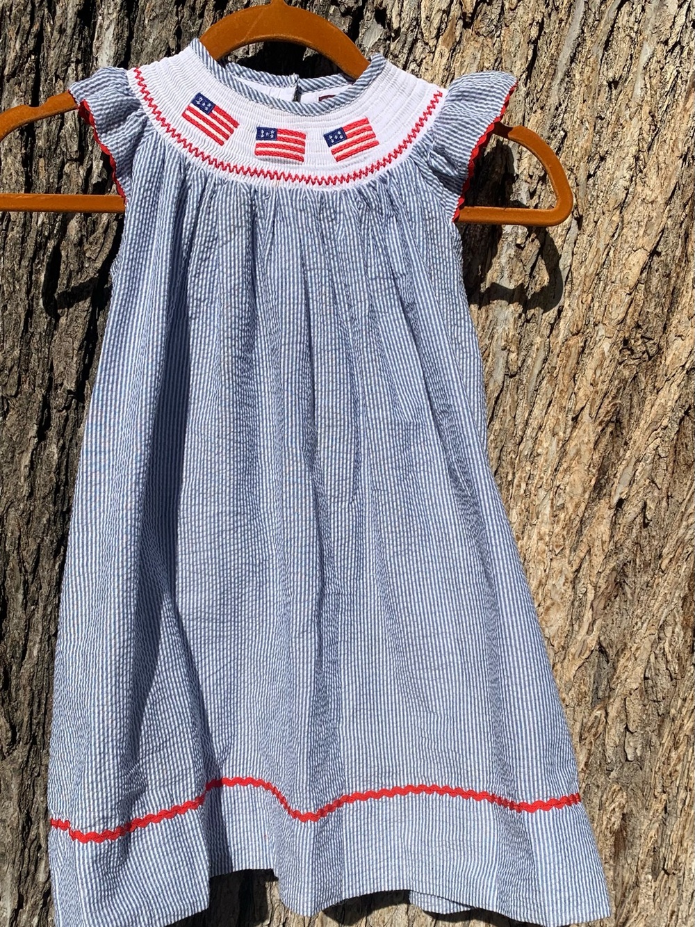 Cactus Blue and Red Seersucker Smocked Girls Dress